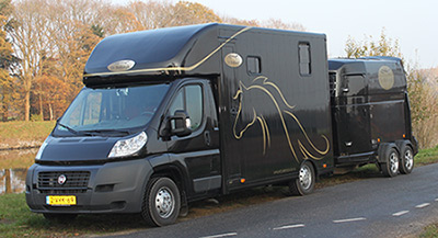 Pegasus Pferdebestattung